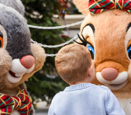 meer informatie over disneyland parijs