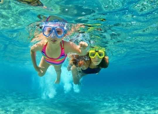 voordelige familie arrangementen in nederland